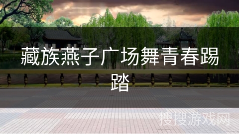 藏族燕子广场舞青春踢踏