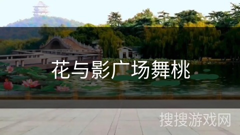 花与影广场舞桃