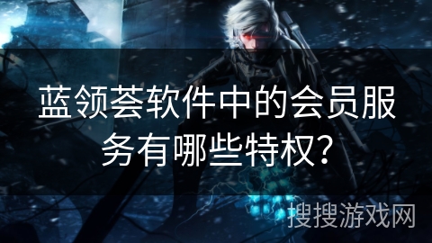 蓝领荟软件中的会员服务有哪些特权？