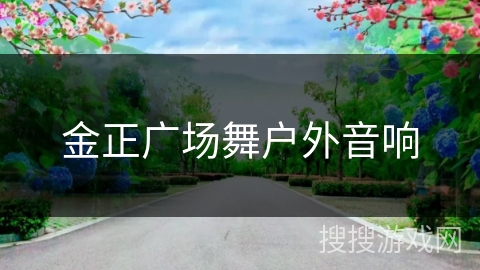 金正广场舞户外音响