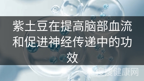 紫土豆在提高脑部血流和促进神经传递中的功效