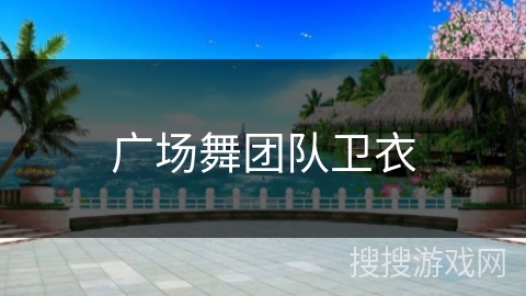 广场舞团队卫衣