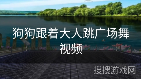 狗狗跟着大人跳广场舞视频