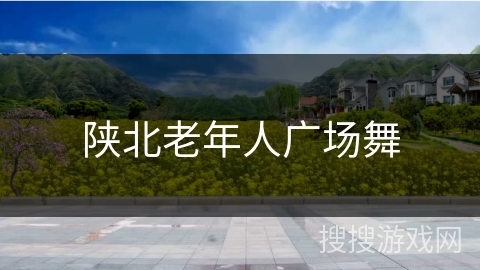 陕北老年人广场舞