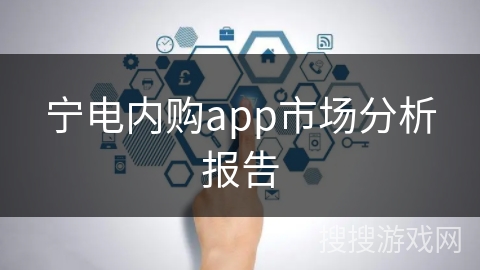 宁电内购app市场分析报告