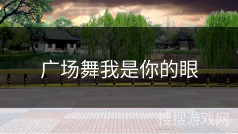 广场舞我是你的眼