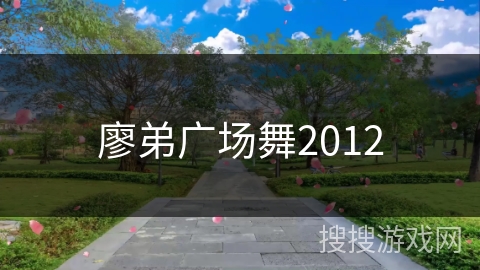 廖弟广场舞2012