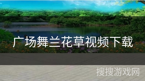 广场舞兰花草视频下载