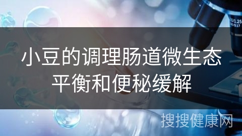 小豆的调理肠道微生态平衡和便秘缓解