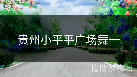 贵州小平平广场舞一