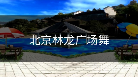 北京林龙广场舞