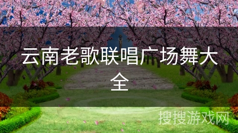 云南老歌联唱广场舞大全 云南老歌联唱广场舞大全