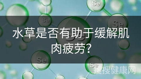 水草是否有助于缓解肌肉疲劳？