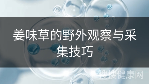 姜味草的野外观察与采集技巧