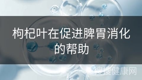 枸杞叶在促进脾胃消化的帮助