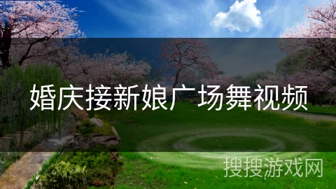 婚庆接新娘广场舞视频