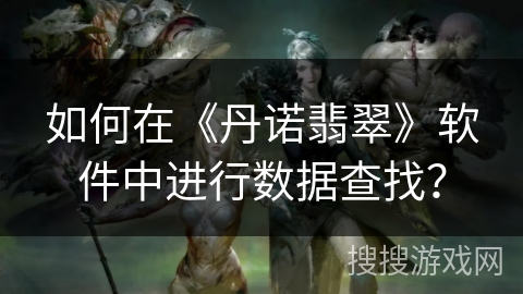 如何在《丹诺翡翠》软件中进行数据查找？