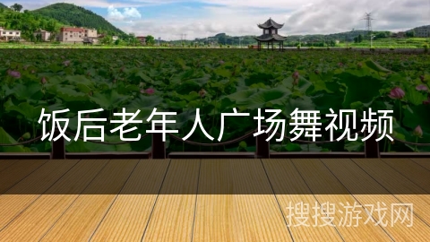 饭后老年人广场舞视频