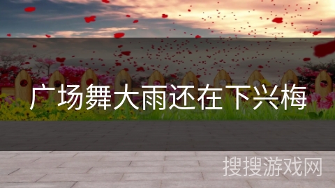 广场舞大雨还在下兴梅