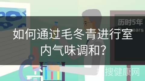 如何通过毛冬青进行室内气味调和？