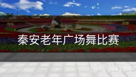 秦安老年广场舞比赛