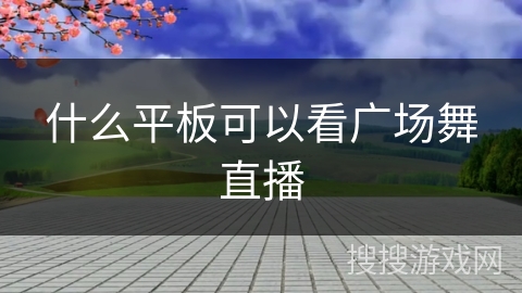 什么平板可以看广场舞直播