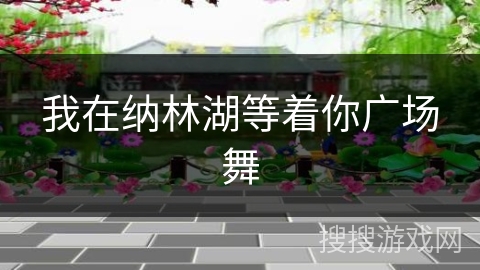 我在纳林湖等着你广场舞