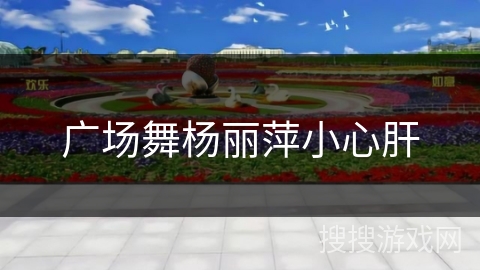 广场舞杨丽萍小心肝