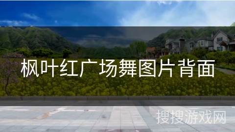 枫叶红广场舞图片背面