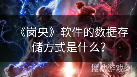 《岗央》软件的数据存储方式是什么？