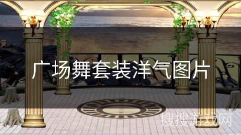 广场舞套装洋气图片