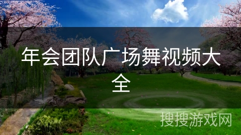 年会团队广场舞视频大全