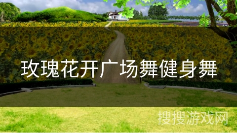 玫瑰花开广场舞健身舞