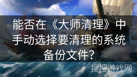 能否在《大师清理》中手动选择要清理的系统备份文件？