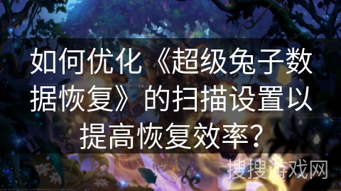 如何优化《超级兔子数据恢复》的扫描设置以提高恢复效率？