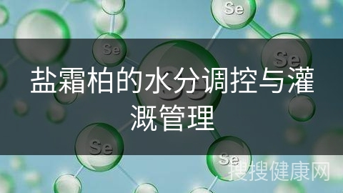 盐霜柏的水分调控与灌溉管理