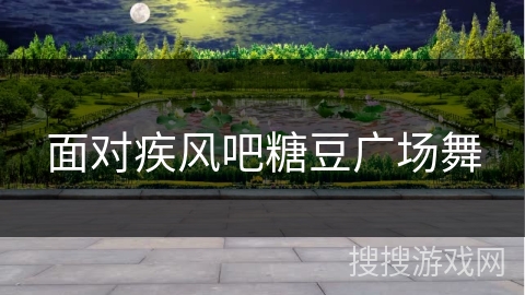 面对疾风吧糖豆广场舞