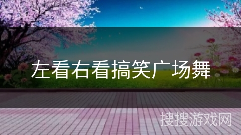 左看右看搞笑广场舞