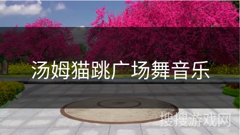 汤姆猫跳广场舞音乐