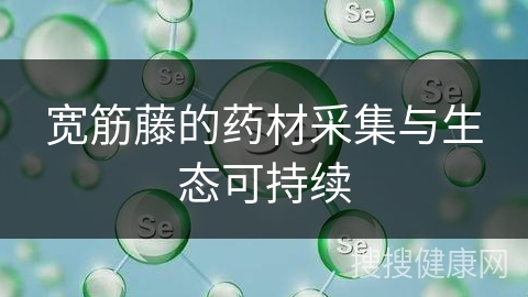 宽筋藤的药材采集与生态可持续