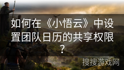 如何在《小悟云》中设置团队日历的共享权限？
