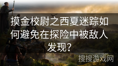 摸金校尉之西夏迷踪如何避免在探险中被敌人发现？