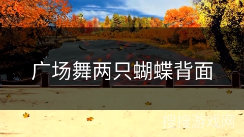 广场舞两只蝴蝶背面