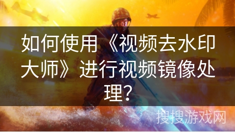 如何使用《视频去水印大师》进行视频镜像处理? 如何使用《视频去水印大师》进行视频镜像处理?