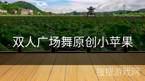 双人广场舞原创小苹果