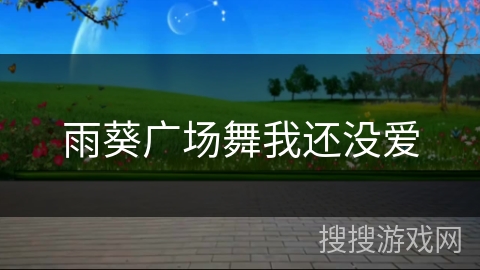 雨葵广场舞我还没爱