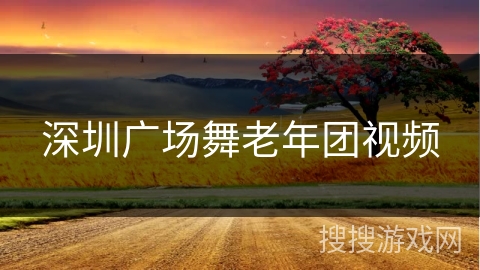 深圳广场舞老年团视频