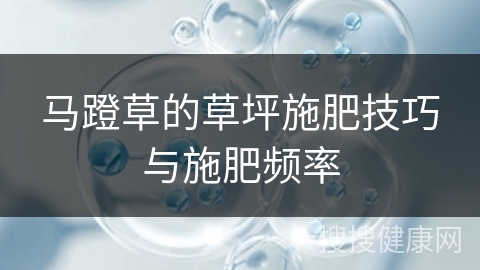 马蹬草的草坪施肥技巧与施肥频率