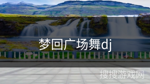 梦回广场舞dj