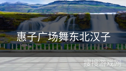 惠子广场舞东北汉子